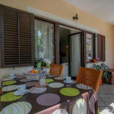 Apartment Sanja Novigrad  Ngoại thất bức ảnh