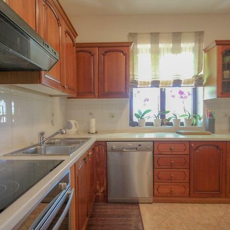 Apartment Sanja Novigrad  Ngoại thất bức ảnh
