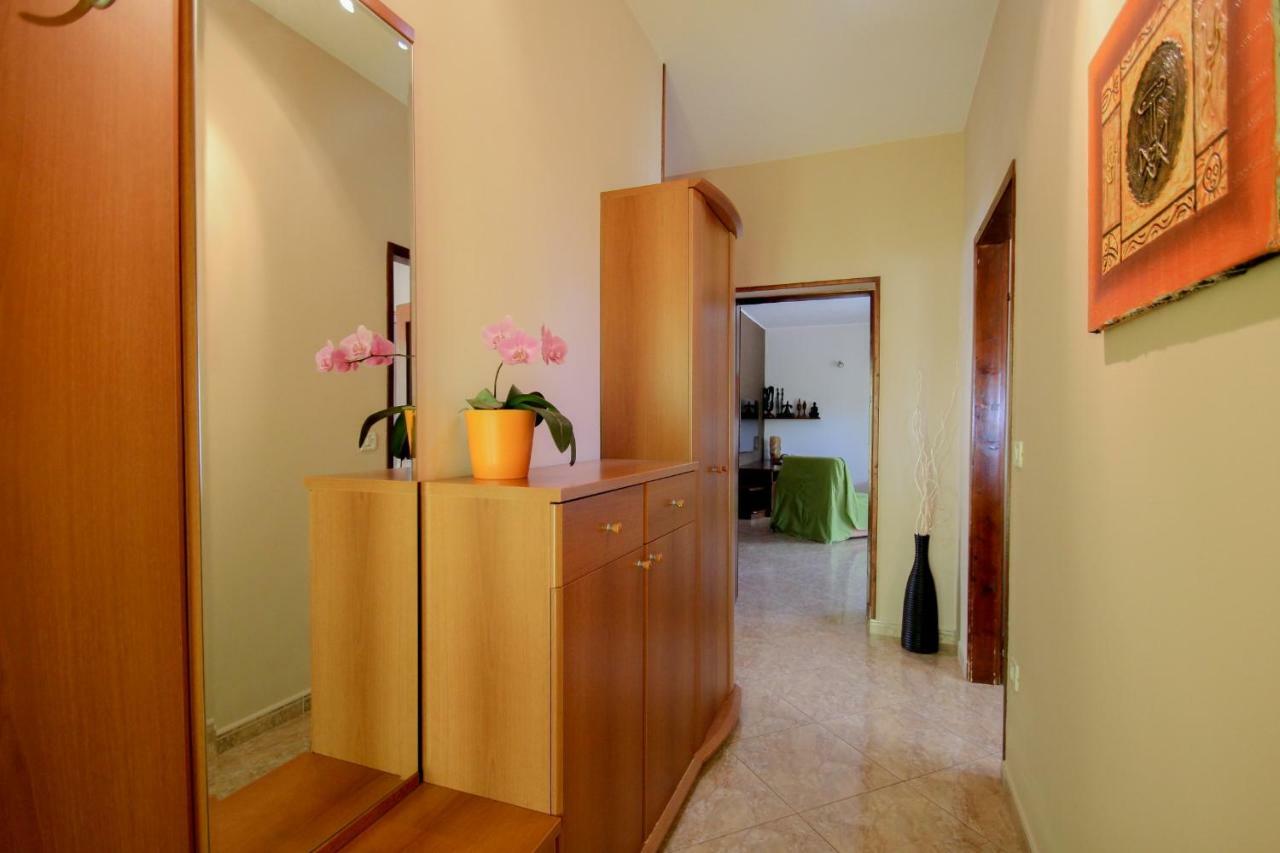 Apartment Sanja Novigrad  Ngoại thất bức ảnh